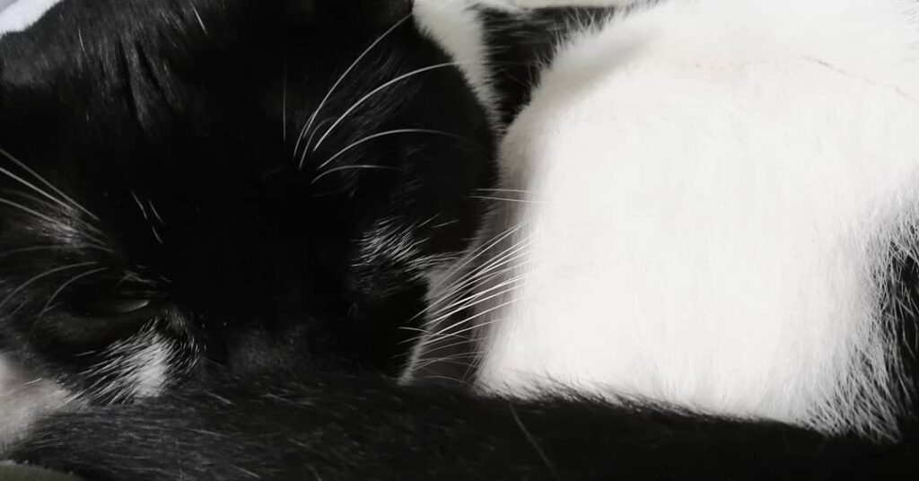 Black and white… . . .