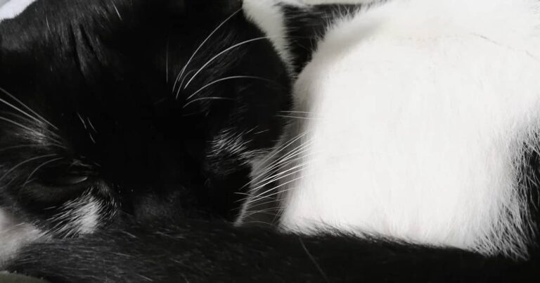 Black and white… . . .