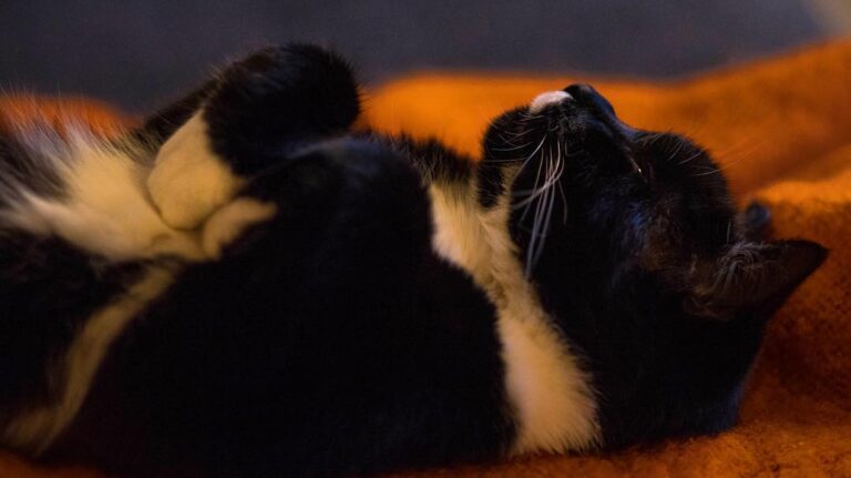 Chillin’ 135mm F2.5 ISO2000 1/15″ • • •