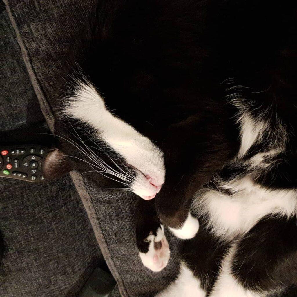 Chilling watching a film