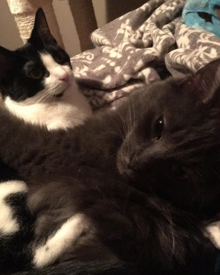 Cuddle buddies • • • • •