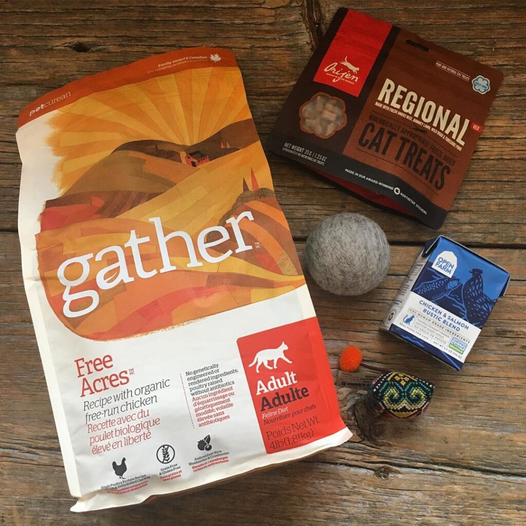 Did you know we also carry cat stuff?! This week on we wanted to