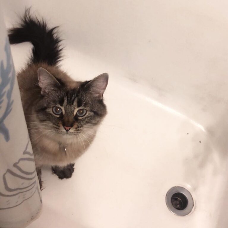 Dis my new spot Mom told me that I wouldn’t like it here as much if