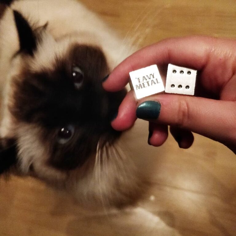 ‘EAVY METAL DICE Just got my price for the 1st place at the earliest