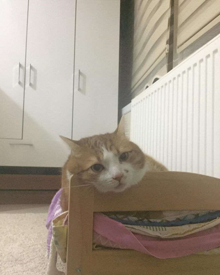 Eee kanka bu sefer neden ayrıldınız. Sen anlat dinliyorum