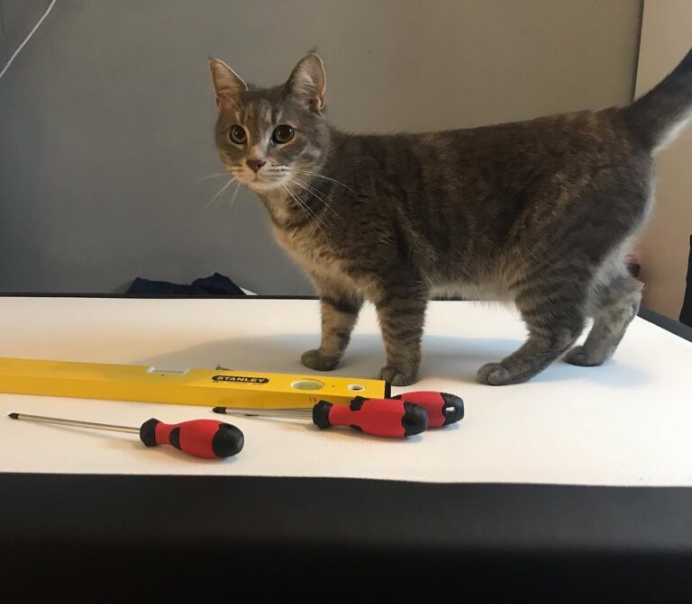 Had a very busy day… i helped my mommy with some chores in her