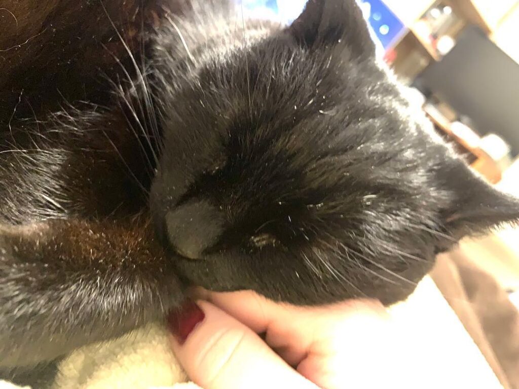 Happy furriends!! • • • • •