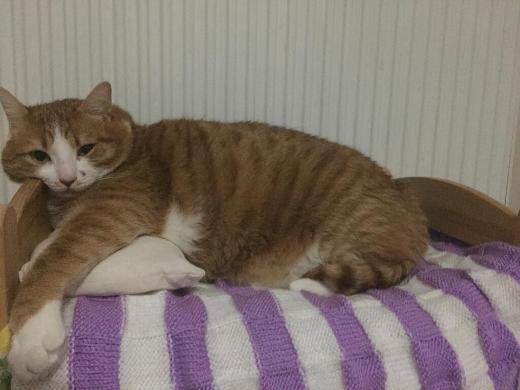 Harika bir cumartesi gecesi