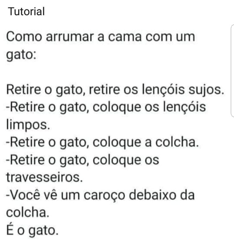 Hj a dica é como deixar a cama esticadinha tendo gatos.