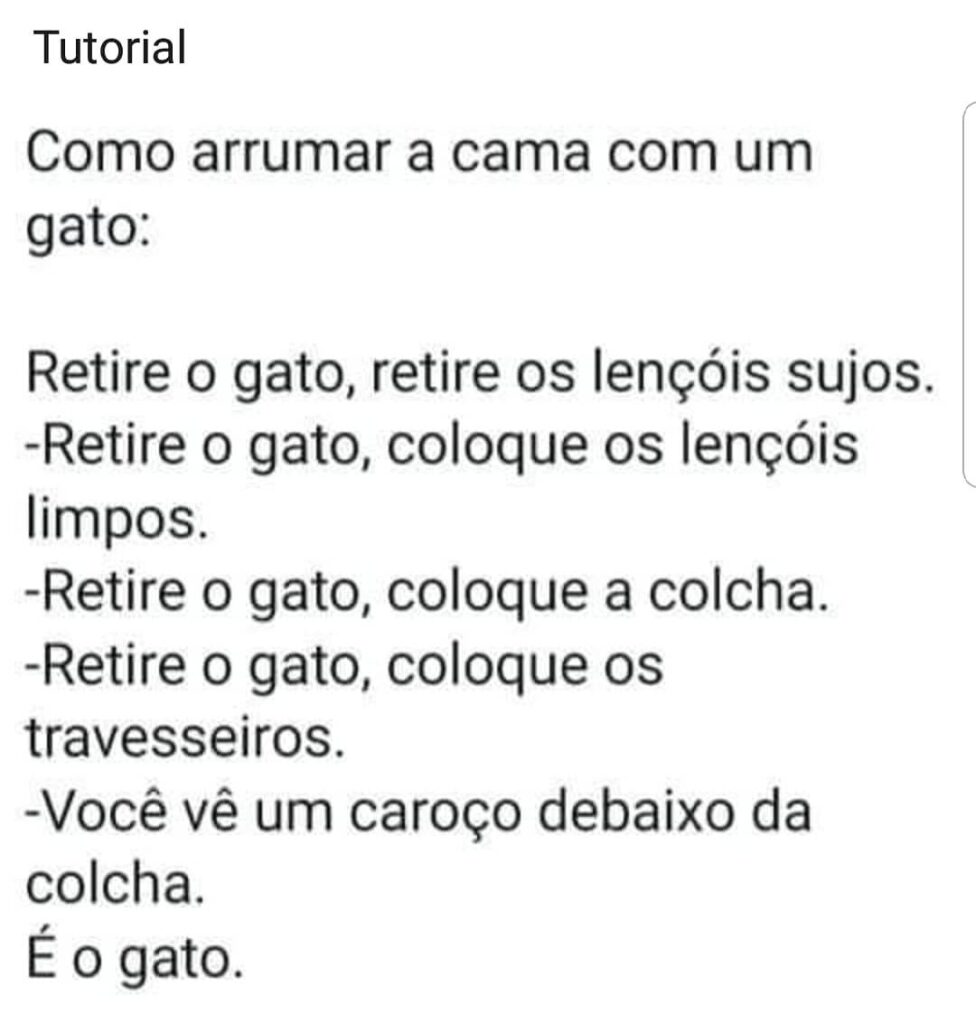 Hj a dica é como deixar a cama esticadinha tendo gatos.
