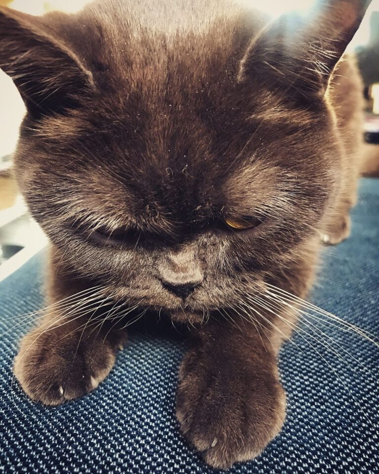 Home sweet home… this little one went missing in november. We stopped