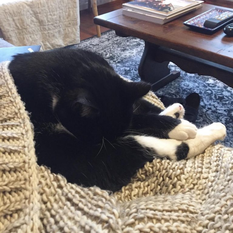 How we do Saturday