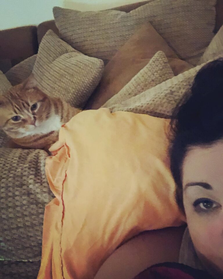 I am still laid up with back/shoulder pain and is keeping me company.