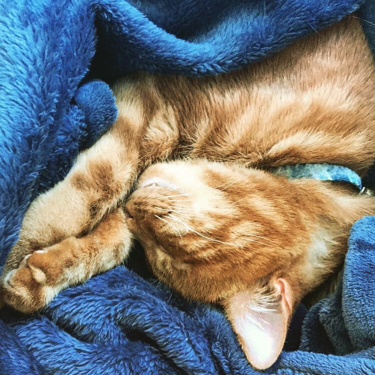 I love him more than life itself, lil fang included
