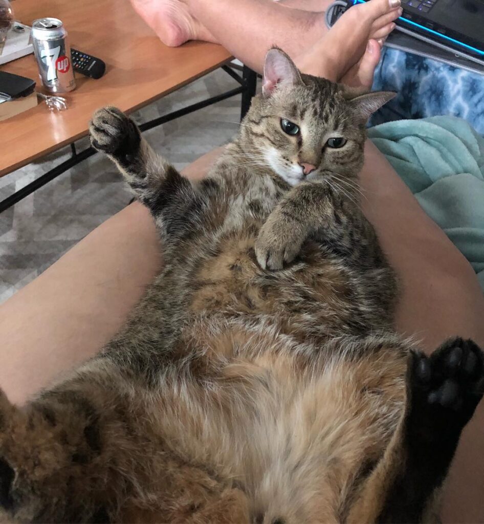 I sit like this now #