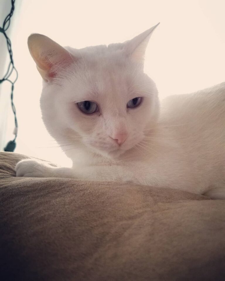 I woke him up to take this so you’re welcome ° ° ° ° ° ° ° ° ° ° ° °