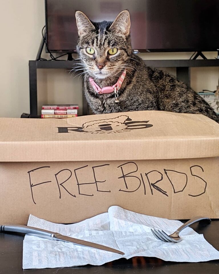 “Is the how many birds I can eat out of this box? Because that’s a