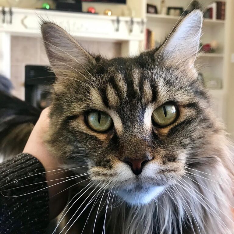 It’s been 3 days since I bathed her, and she finally let me love her,