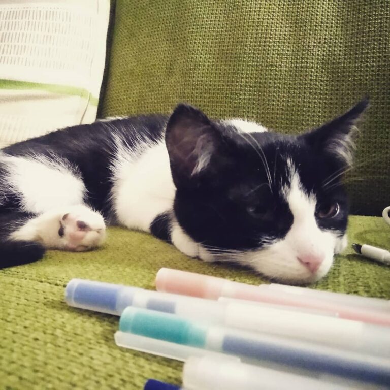 I’ve quit with studying today.