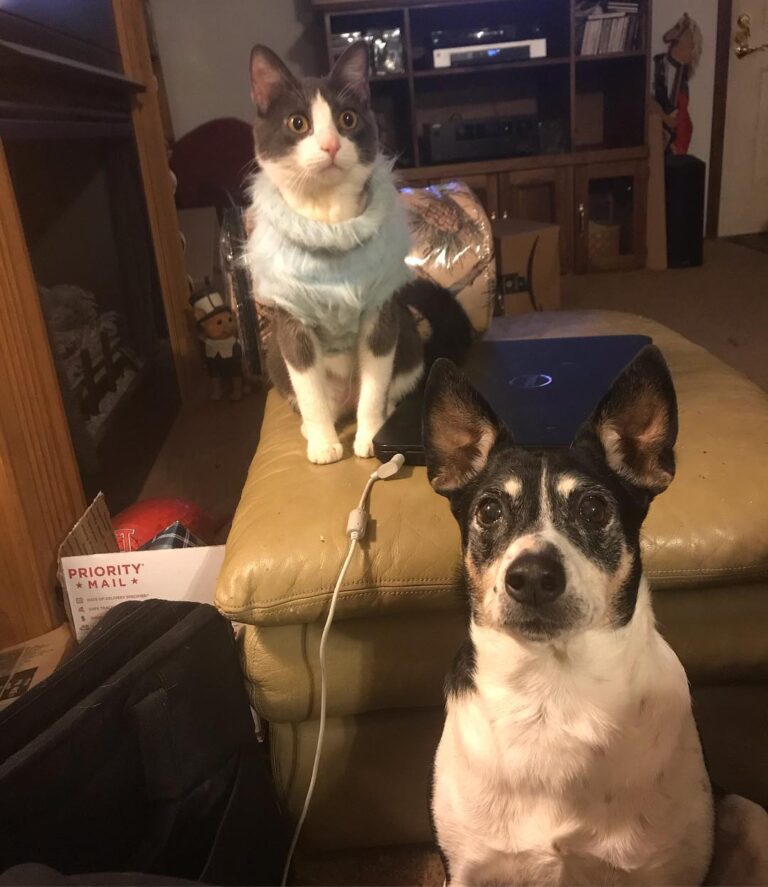 Jackie and Stormy wish everyone a safe and prosperous 2019! . . . . .