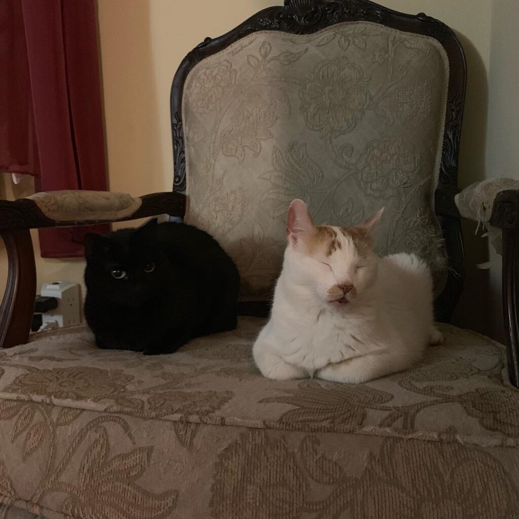 Just sleeping in our sister’s chair