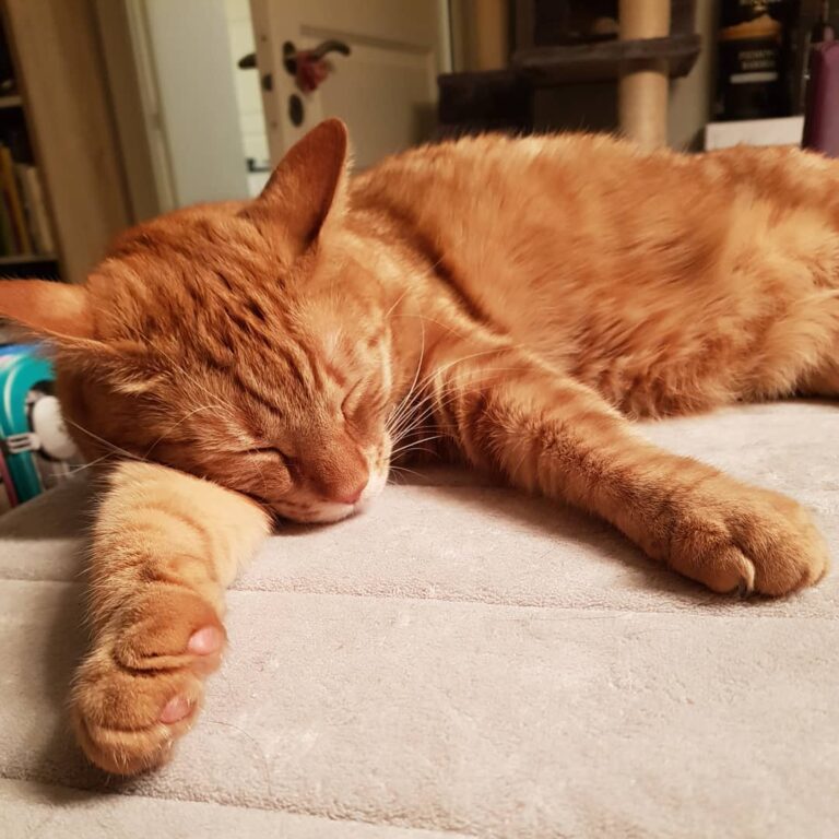 Just sleeping the away