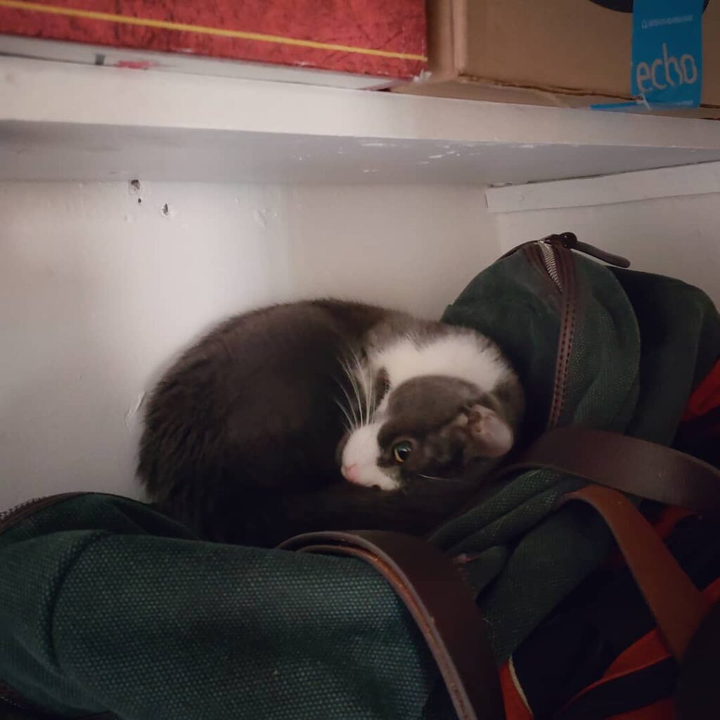 Lazier in the closet. #