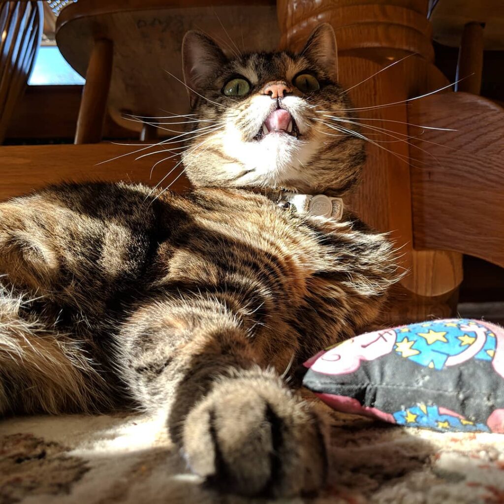 *Lick* . .
