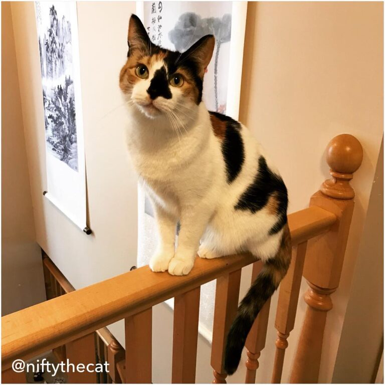 Living life on the edge. It’s not the same as walking a fence, but
