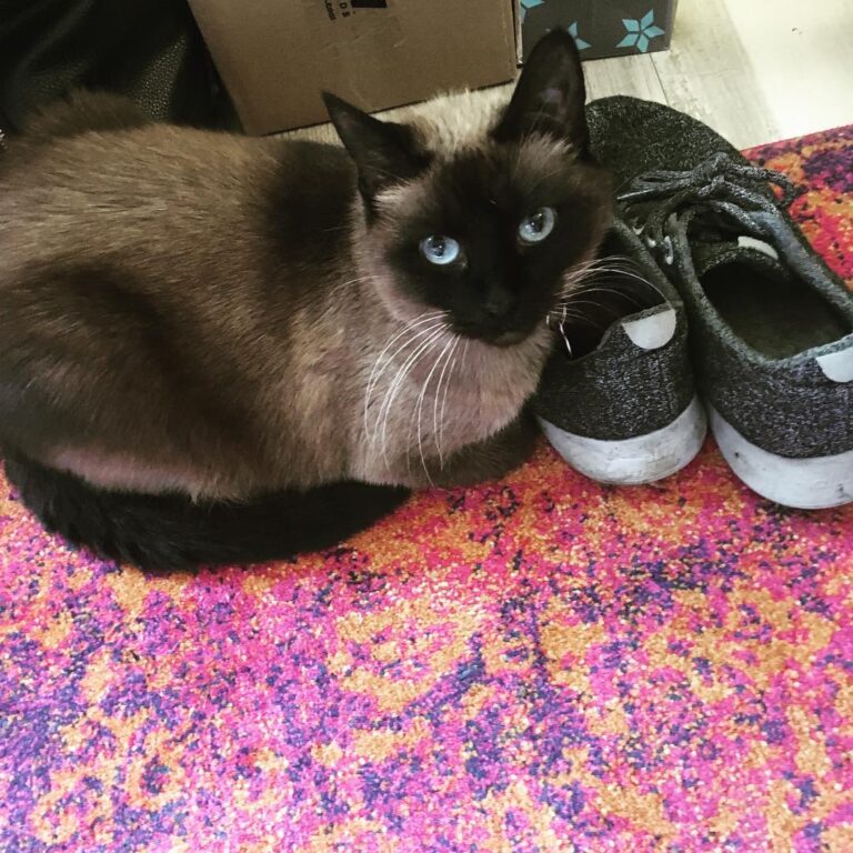 Looks like I’m not the only one who’s obsessed with shoes. These are