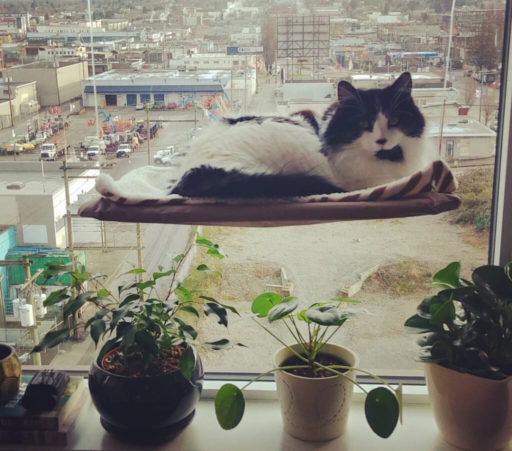 Lounging in her new bed