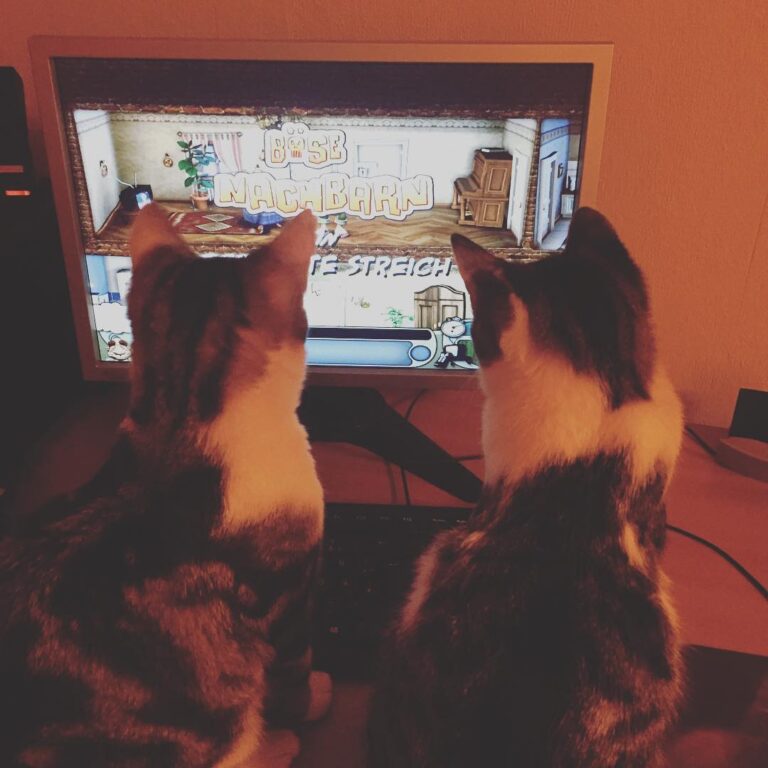 Man spielt halt nie allein … nur mit der Sicht ist das etwas