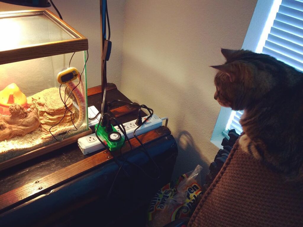 My big sister, Penny Lane, likes watching me squiggle around