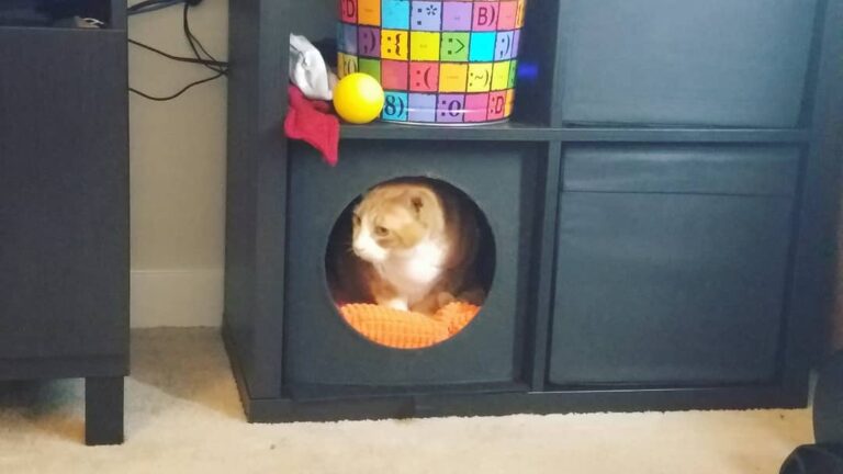 New year, new spot.