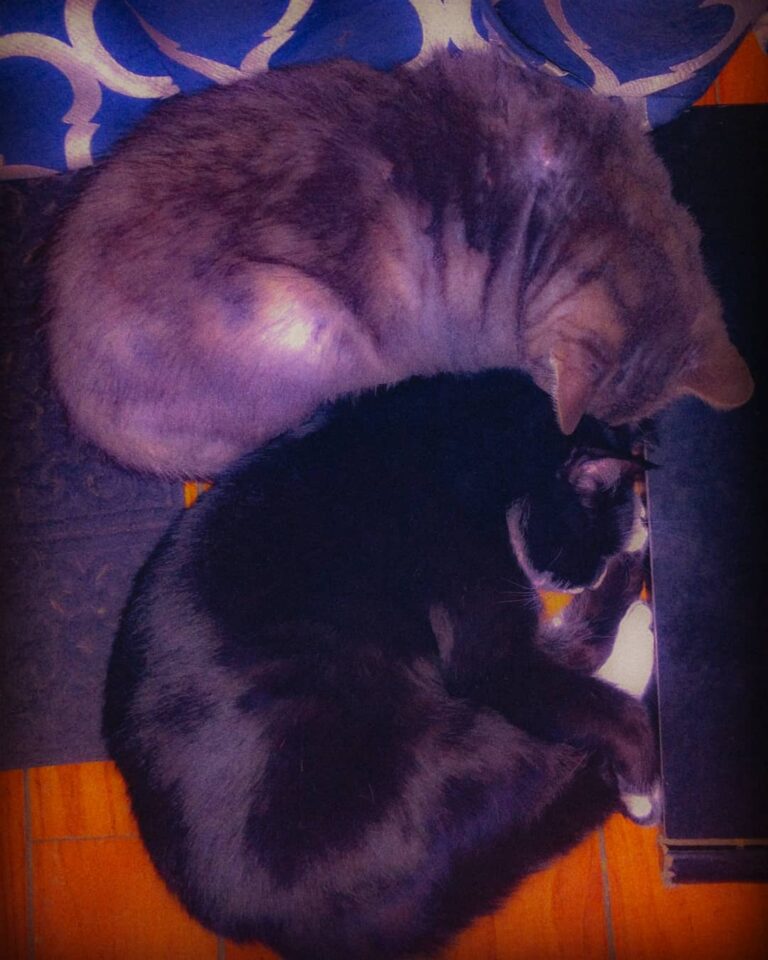 Not visible in this picture, but directly below these snuggled