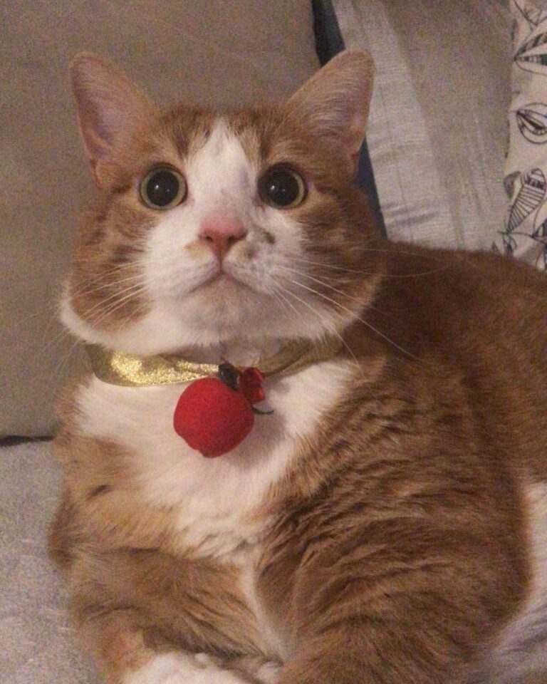 Ready for new year!