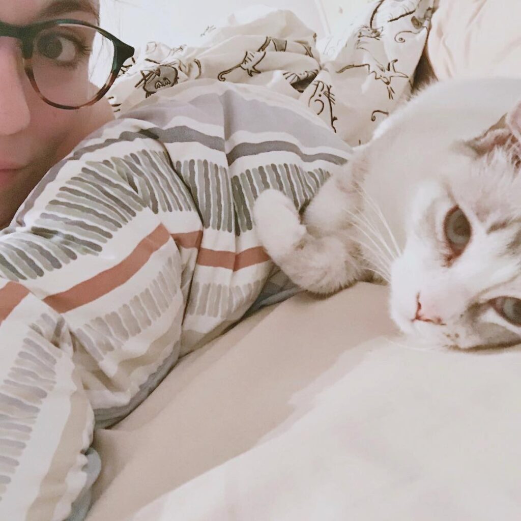 Samedi soir Cocooning : Chat + Netflix . érie