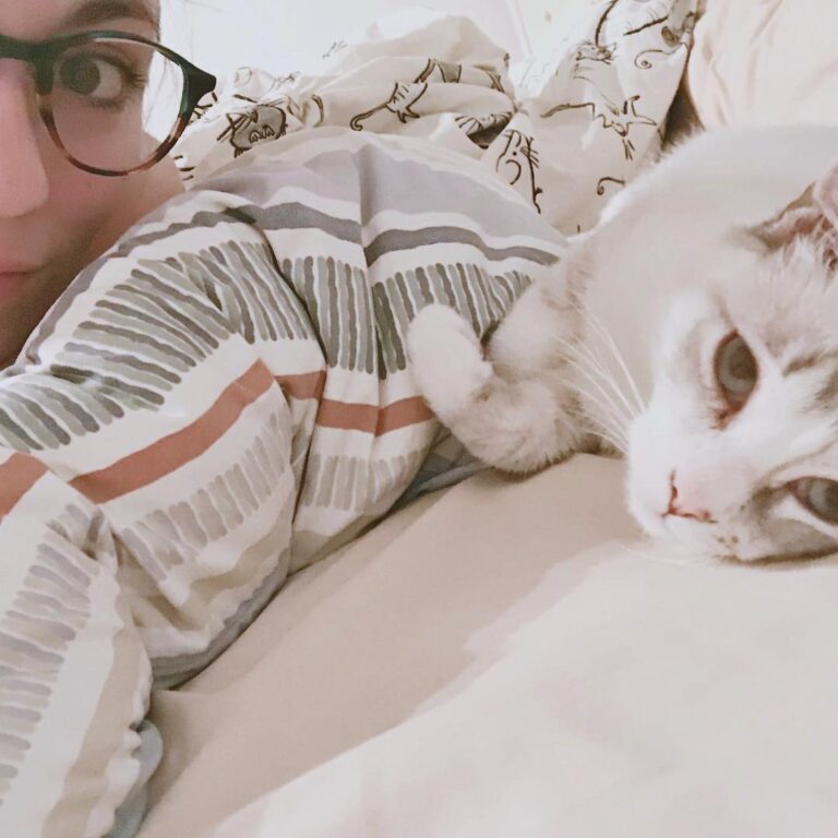 Samedi soir Cocooning : Chat + Netflix . érie