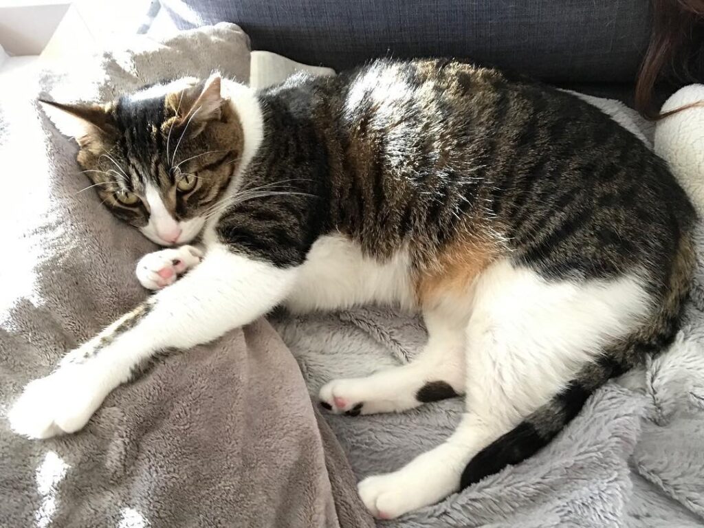 Saturday’s are for being lazy