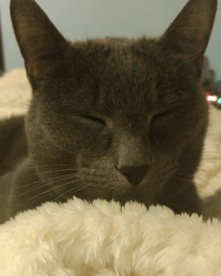 Saturdays aren’t for the boys. They’re for naps.