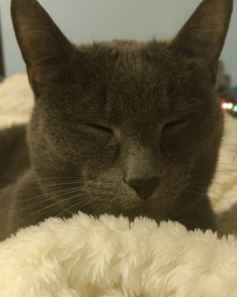 Saturdays aren’t for the boys. They’re for naps.