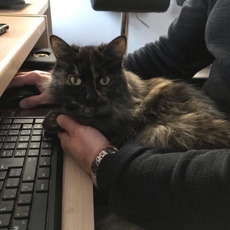She has 1,700 square feet of places to sleep, but when Cyril is home