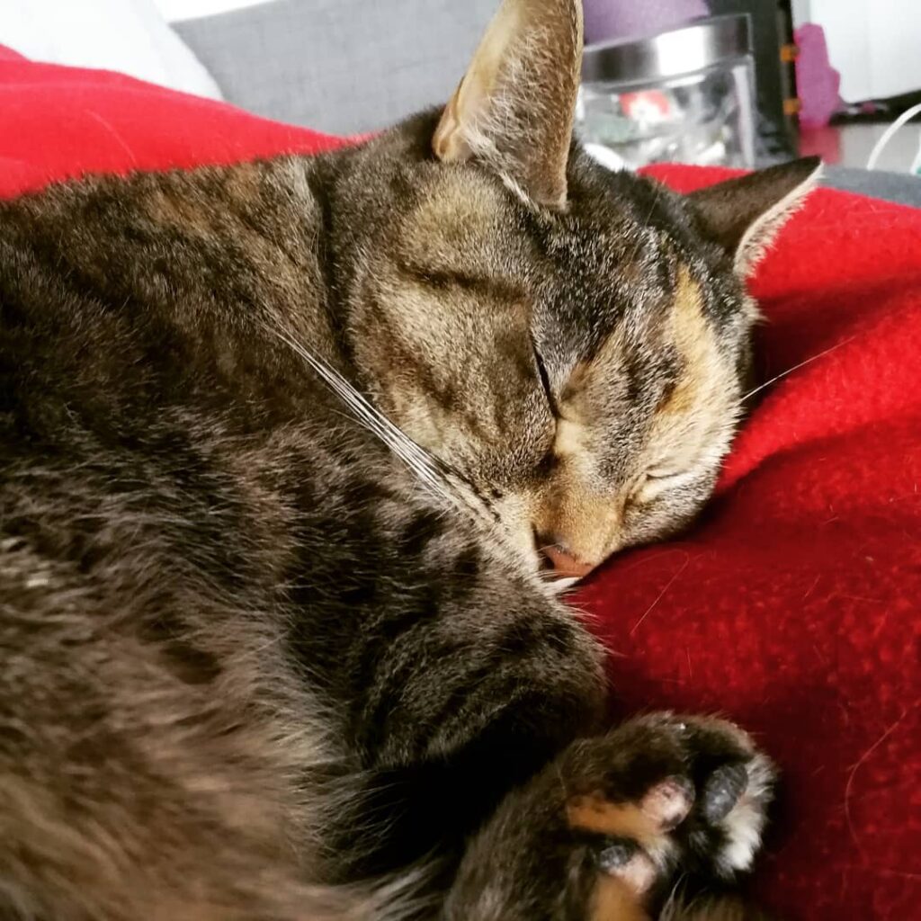 Sleepy vibes with Marcie.
