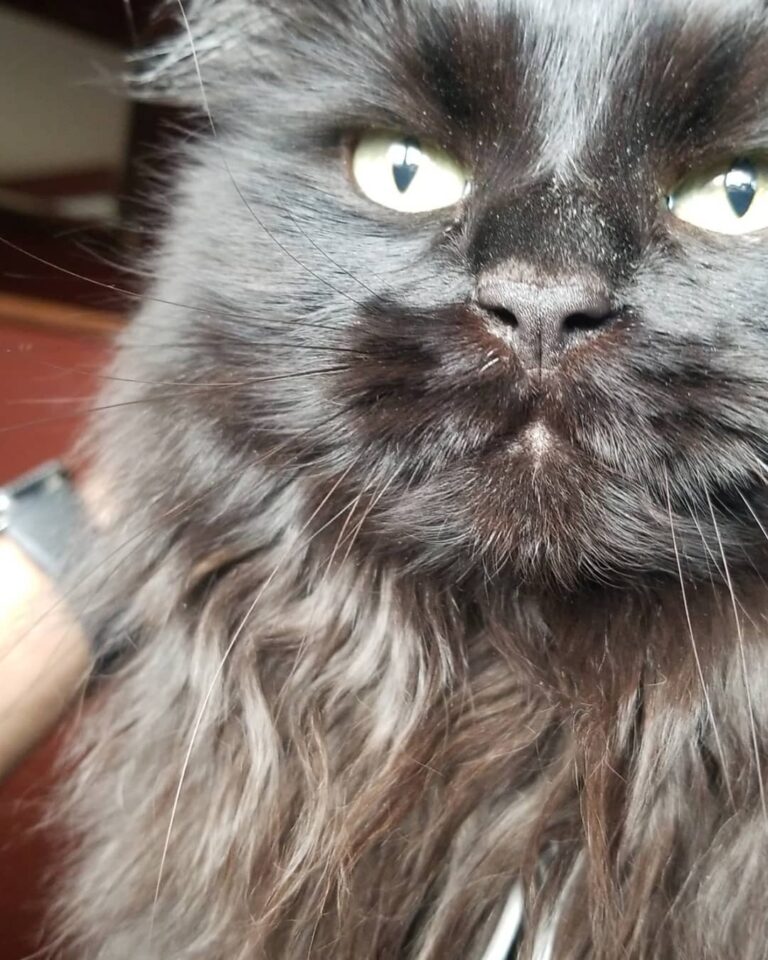 So majestic.