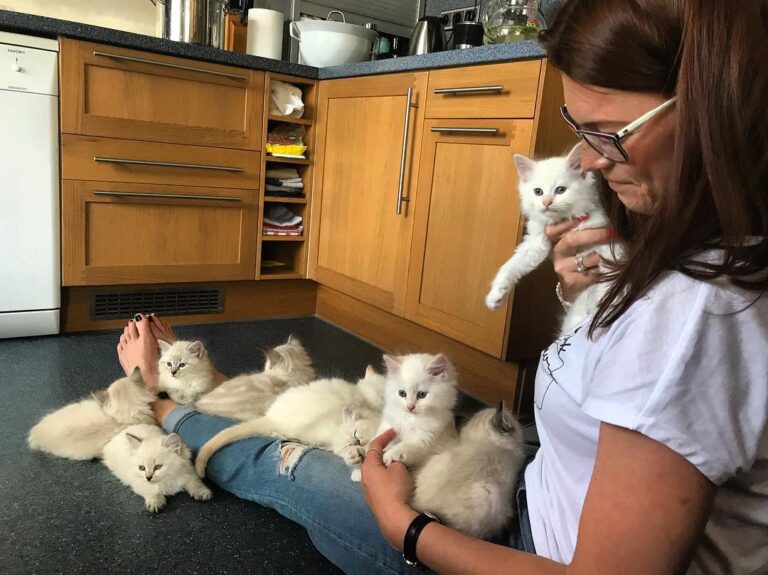 That was the first time our hoomans went to see us.