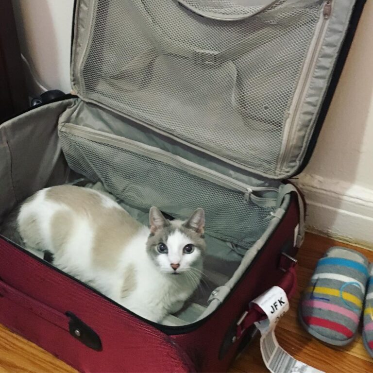 The Captor has been gone a lot for the last few weeks and this is how