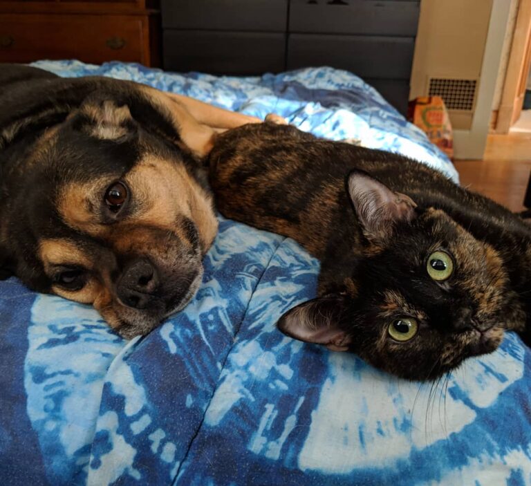 This is my kitten. I love her. She loves me.
