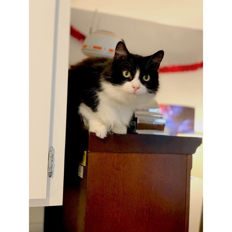This is my main sponsor. He’s a cranky old man but he’s also the best