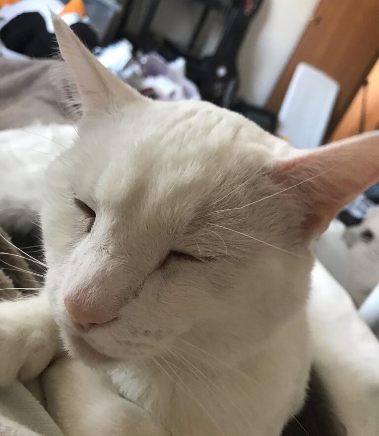 Waking up is overrated.