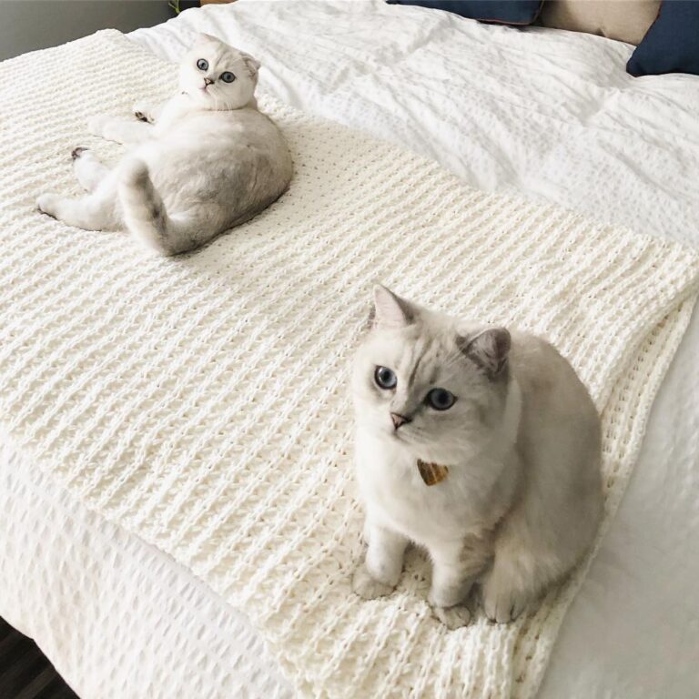 We go together like salt and pepper. . . . . . . .
